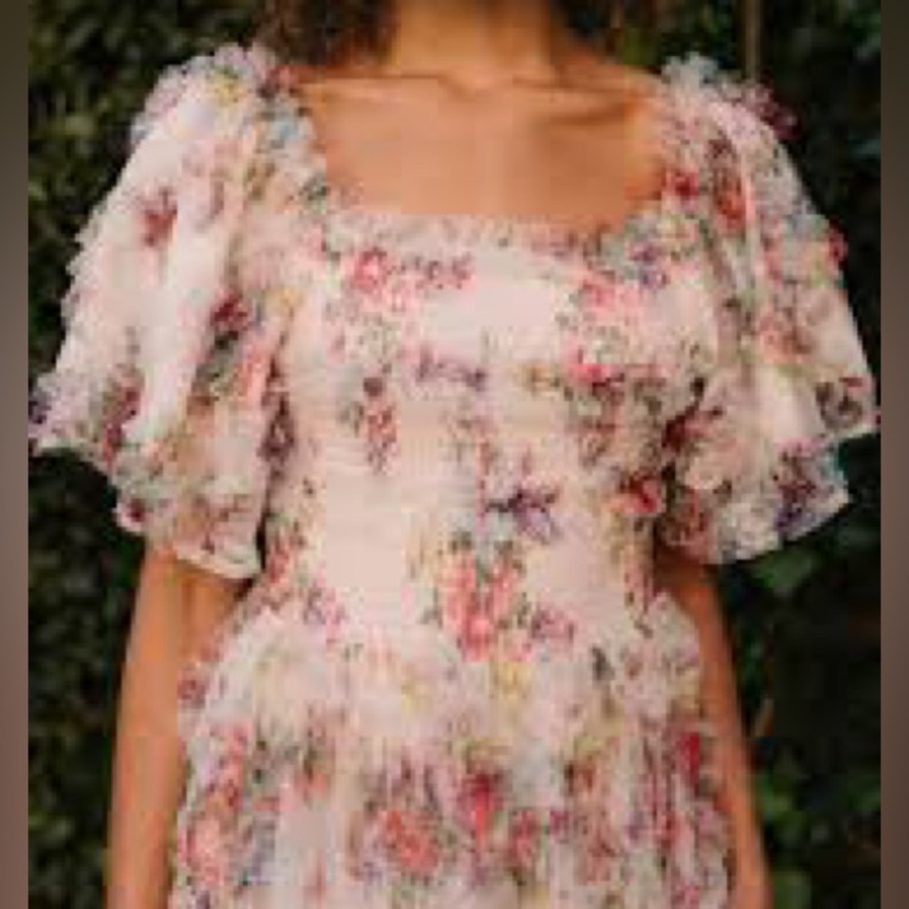 NWT Ivy city co florentina dress 2x - Picture 3 of 5